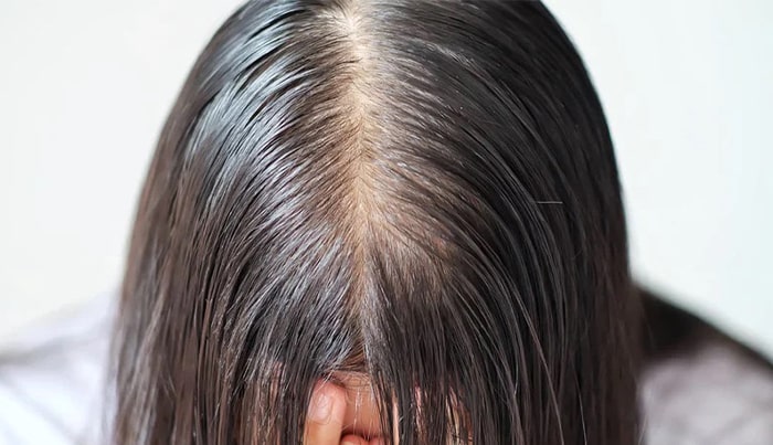 Oily hair shampoo